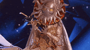 Sun Winner GIF by The Masked Singer
