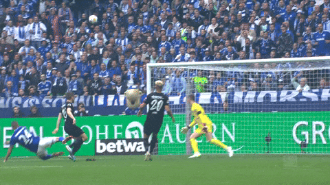 Sad Football GIF by FC Schalke 04