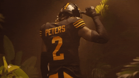 Tiger-Cats Cfl GIF by Hamilton Sports Group
