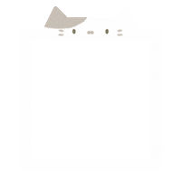 Cat Frame Sticker