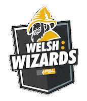 psl squash Sticker by Welsh Wizards