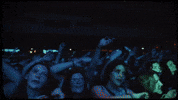 Music Festival GIF by Mother Mother