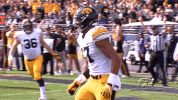 football GIF by University of Iowa Hawkeyes Athletics