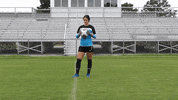 Virginiawesleyan GIF by VWU Marlins