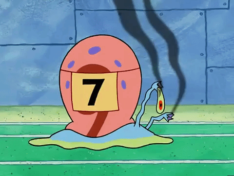 season 3 the great snail race GIF by SpongeBob SquarePants