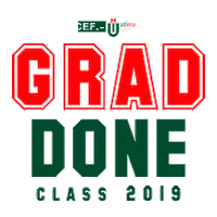 CEFSantoDomingo graduacion udima Sticker