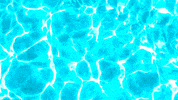 Swimming Pool Summer GIF by Casol