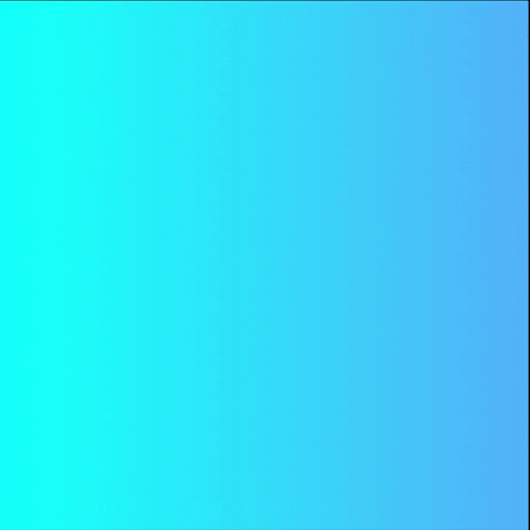 Racisme GIF by Stichting Adoptiepedia