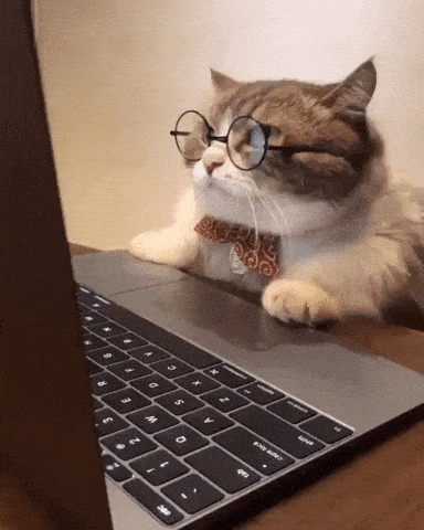 School-cat GIFs - Get the best GIF on GIPHY