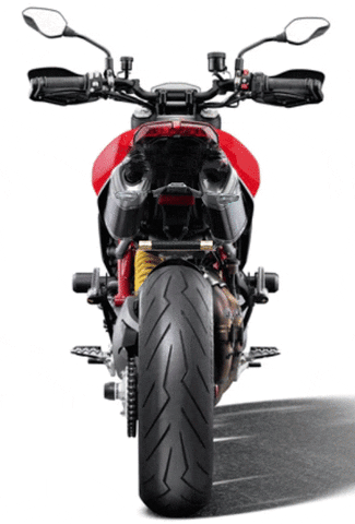 trydeal giphyupload ducati motorcycle GIF