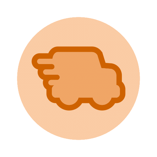 Express Shipping Sticker by Wish