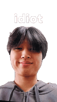 Idiot Sticker