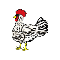 Leghorn Exchequer Sticker