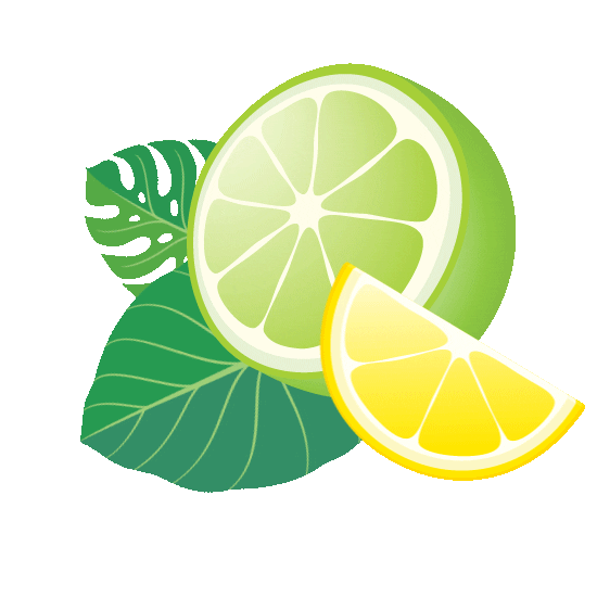 lemon lime fruit Sticker by Sparkling Ice