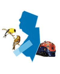 New Jersey Reaction Sticker by Crooked Media