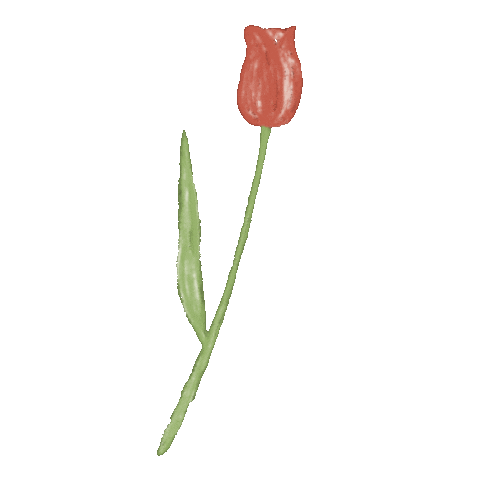 Flower 花 Sticker
