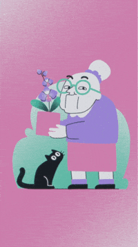 Ssaft GIF