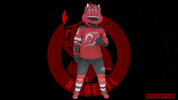Dance Hockey GIF by NJ Devil