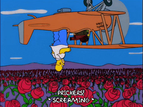 homer simpson GIF