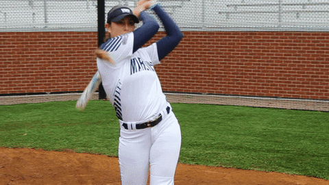 vwu_marlins giphyupload marlins vwu wethebeach GIF