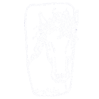 White Horse Sticker