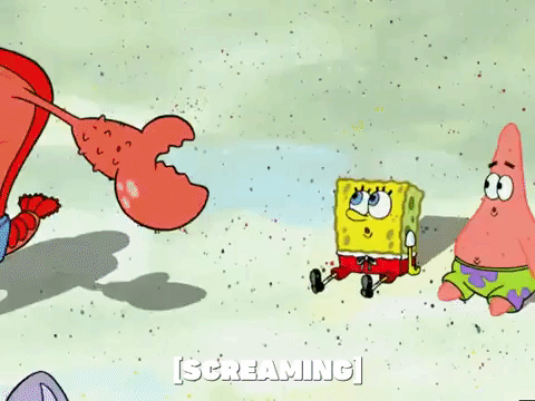 season 6 GIF by SpongeBob SquarePants