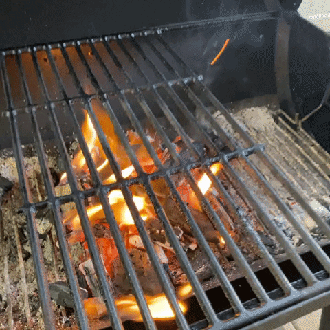 Grillinggods fire bbq wood grill GIF