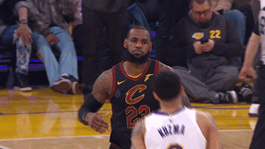 lebron james basketball GIF by NBA