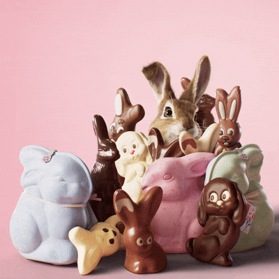 Bonjour Lapin GIF by Migros