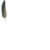 aliworks love peace handwriting feather Sticker