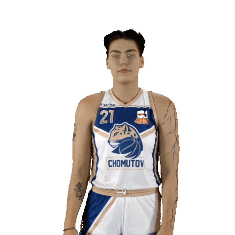Basketball Sticker by Levharti