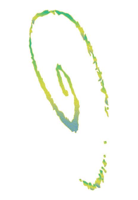 Laneway2026 Sticker by Laneway Festival