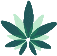 cannibabe cannabis cbd cbd oil cannabidiol Sticker
