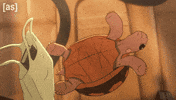 Animation Omg GIF by Adult Swim