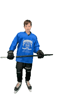 Hockey Sticker by ledoritulys.lt