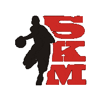 skmvilnius basketball lietuva vilnius krepsinis Sticker