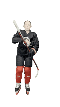 Hockey Sticker by ledoritulys.lt