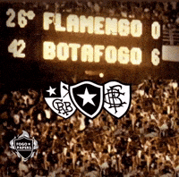 Zico Fla GIF