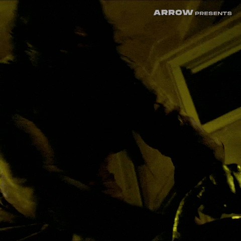 Texas Chainsaw Massacre Film GIF by Arrow Video