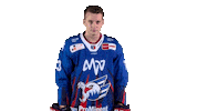 Loibl Sticker by Adler Mannheim