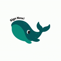 canadianwildlife wildlife marine conservation whales GIF