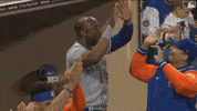 Happy Major League Baseball GIF by New York Mets