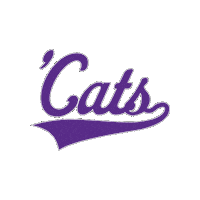 Northwestern University Cats Sticker by Northwestern Athletics