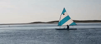 massachusetts GIF