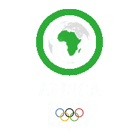 Summer Olympics America Sticker