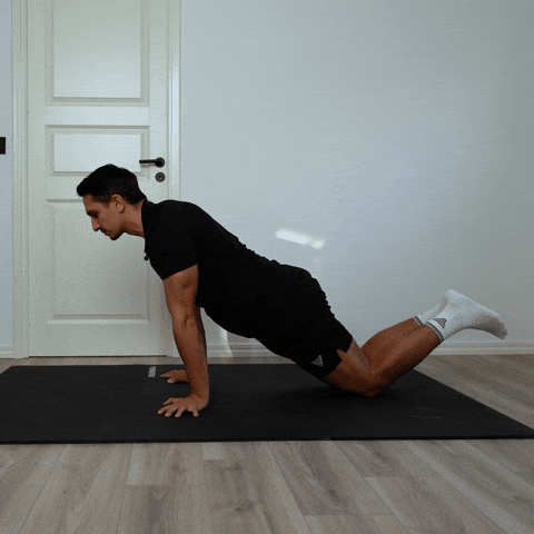 Calisthenics Exercises GIF