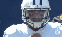 Tennessee Titans Football GIF by NFL