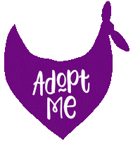 Adopt Dont Shop Sticker by HeARTs Speak