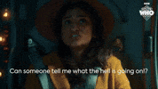 What Is Going On Season 2 GIF by Doctor Who