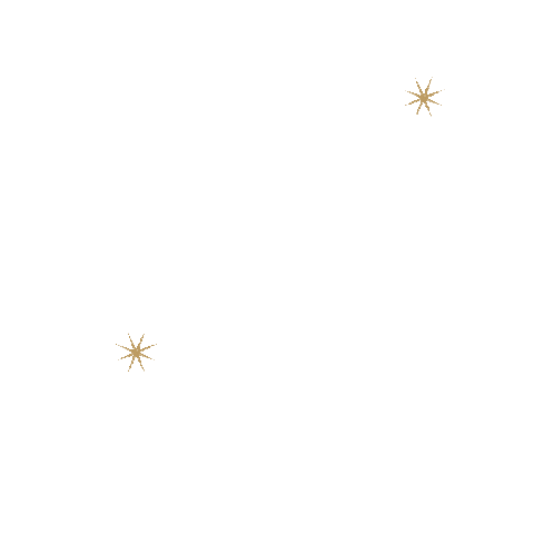 Post Sparkle Sticker by Social Kapture